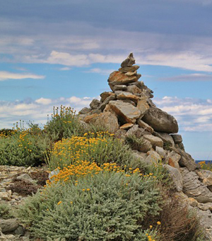 在线电话呼死你